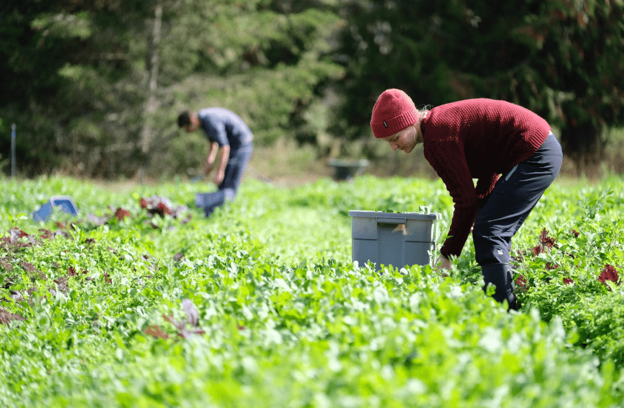 General Farm Worker Job Description Canada