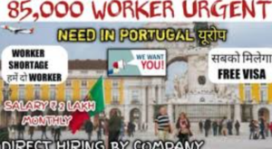 Job Hiring in Portugal 2022: