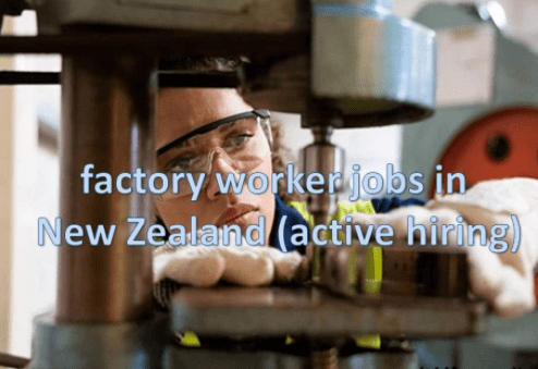 Factory Worker In New Zealand