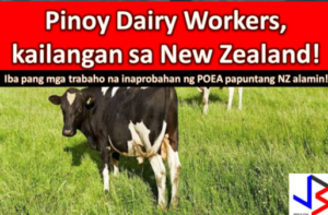 Farm Worker Jobs in New Zealand 2022: