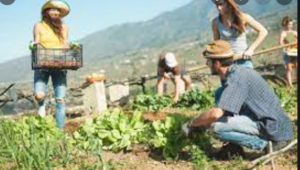 Farm Workers Jobs in Australia in 2022