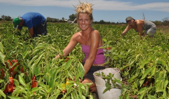 farm-workers-jobs-in-australia-in-2022-latest-jobs-houses