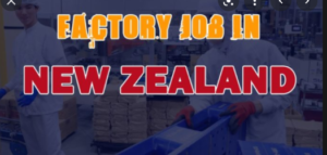 FACTORY WORKERS JOBS IN  New Zealand 2022: