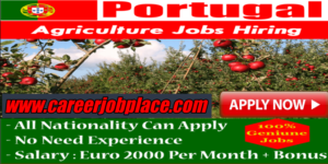 Job Hiring in Portugal 2022: