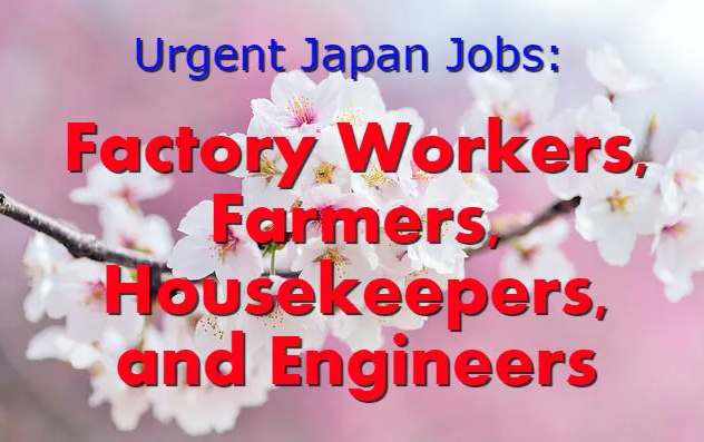 JAPAN FACTORY WORKERS 2022: