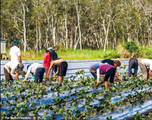 Farm Jobs in New Zealand 2022: