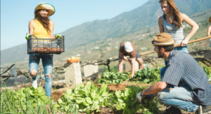 Farm Jobs in New Zealand 2022: