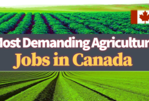 FARM WORKER JOBS IN CANADA 2022: