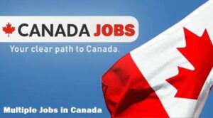 Cleaner Jobs in Canada 2022: