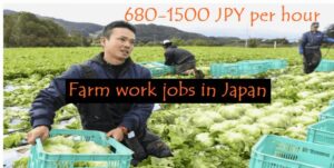 MULTIPLE JOBS IN JAPAN 2022: