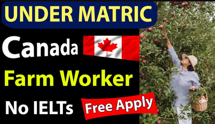 Farm Worker Recruitment For Canada In 2022: