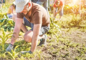 Farm Worker Recruitment For Canada In 2022: