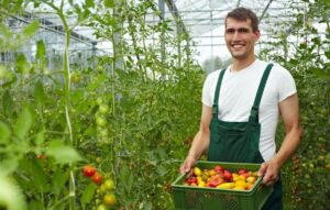 Farm Worker Recruitment For Canada In 2022: