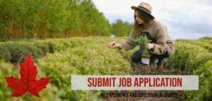 Farm Worker Hiring in Canada in 2022: