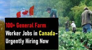 Farm Worker Hiring in Canada in 2022: