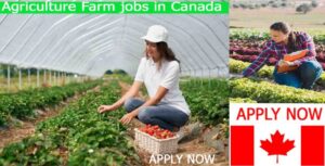 Farm Worker Hiring in Canada in 2022: