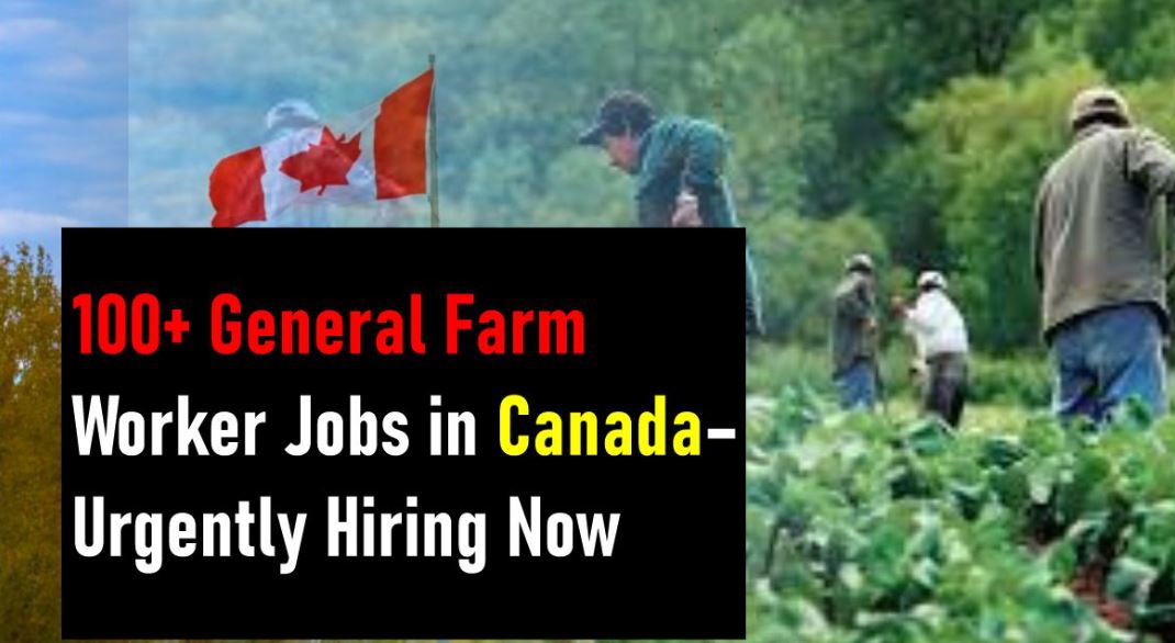 Farm Worker Hiring in Canada in 2022: