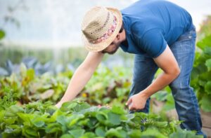 Farm Worker Jobs in New Zealand 2022: