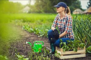 Farm Worker Jobs in New Zealand 2022: