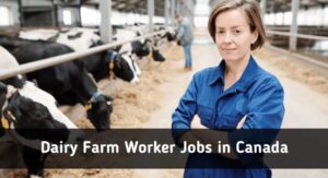 Farm Worker Jobs in Canada 2022: