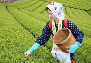 FARM JOBS IN JAPAN 2022: