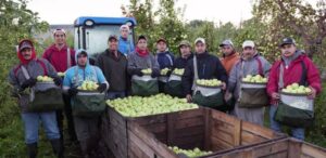 Fruit Picking Jobs in Canada With Visa Sponsorship 2022: