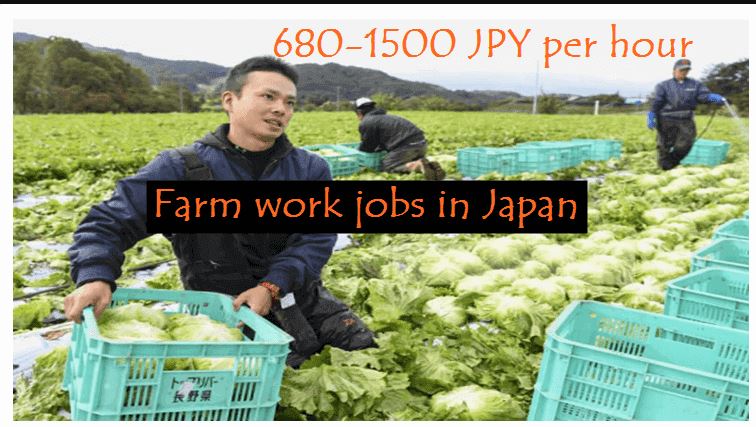 Farming Jobs in Japan For Foreigners: