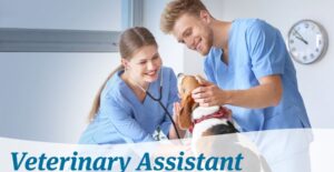 Vet tech Assistant Programs