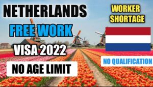 JOBS IN NETHERLAND FOR EXPATIES 2022