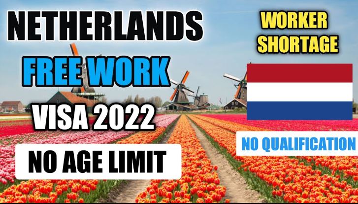 JOBS IN NETHERLAND FOR EXPATIES 2022   NH 1 