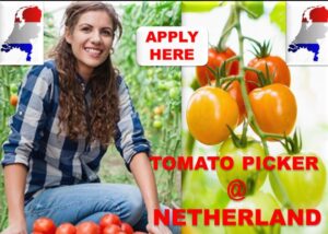JOBS IN NETHERLAND FOR EXPATIES 2022