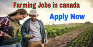 FARM WORKER JOB HIRING IN CANADA 2022