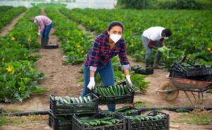 FARM WORKER JOB HIRING IN CANADA 2022