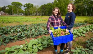 FARM WORKER JOB HIRING IN CANADA 2022