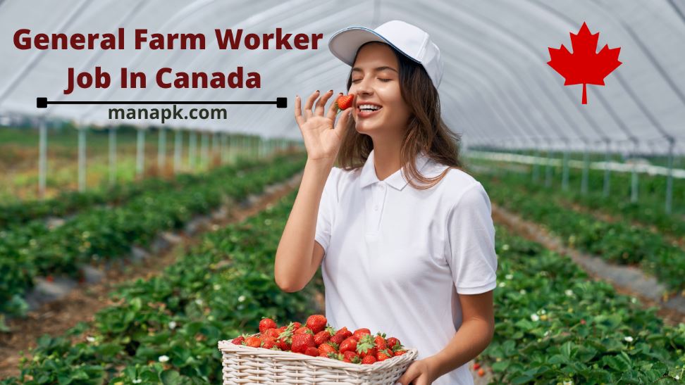 FARM WORKER JOB HIRING IN CANADA 2022