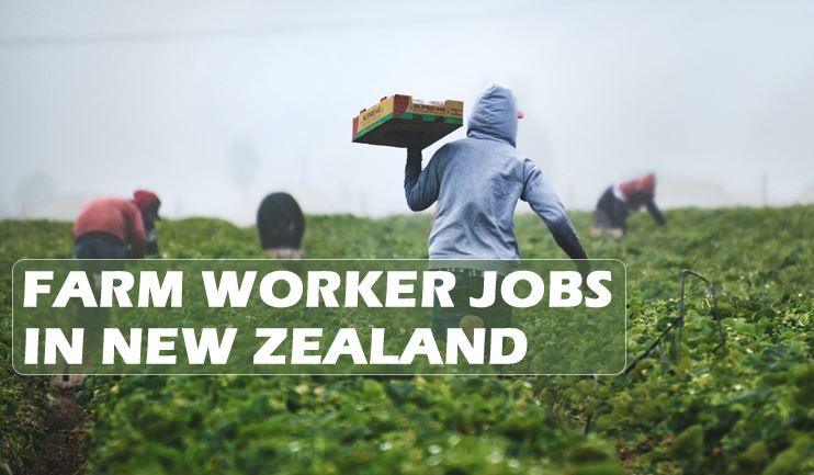 Farm Worker Recruitment For New Zealand In 2022