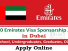 Jobs in Dubai - Applying For a Free Zone Visa 2023