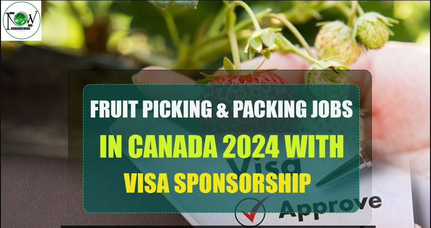 FRUIT FARM WORKER HIRING IN CANADA 2024